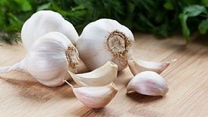 Garlic - σκόρδο